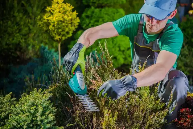 landscaping services Champion Heights